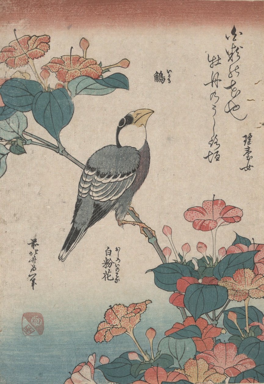 Grosbeak on Mirabilis, fra en serie uten tittel kalt Small Flowers av Katsushika Hokusai