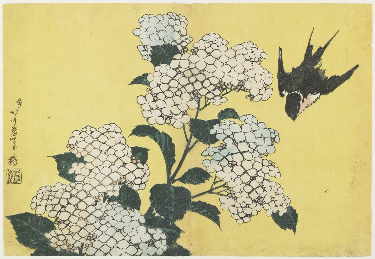 Hortensia og svelge, ca. 1832 av Katsushika Hokusai