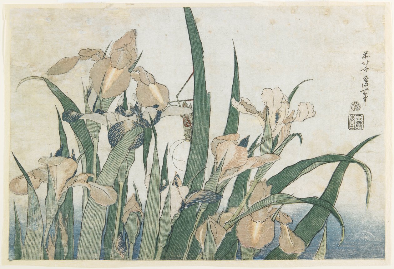 Iris blomster og gresshoppe, ca. 1830-31 (farget treblokktrykk) av Katsushika Hokusai