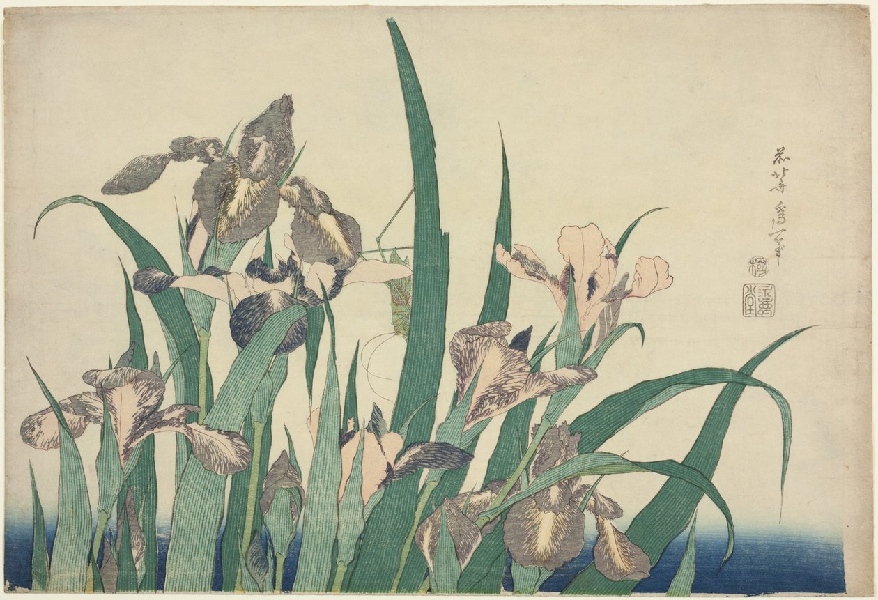 Iris og gresshoppe, fra en serie med store blomster uten tittel av Katsushika Hokusai