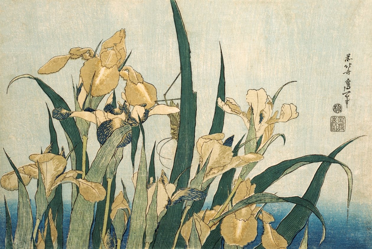 Iriser med en gresshoppe, pub.1830 av Katsushika Hokusai