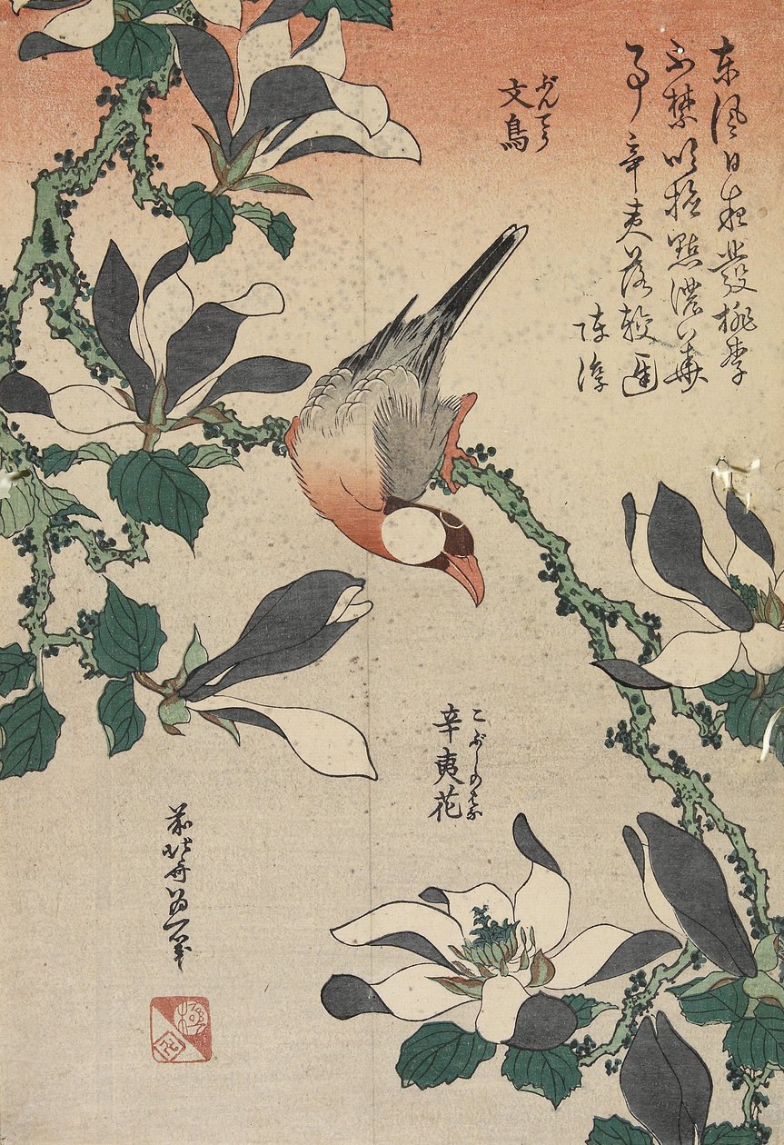 Java Sparrow og Magnolia, ca. 1832 av Katsushika Hokusai