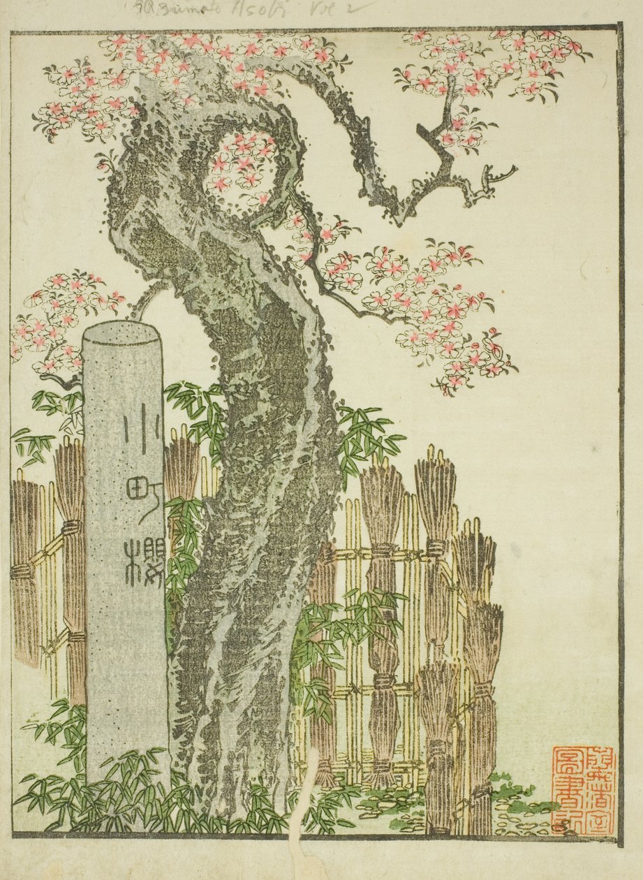 Komachi Cherry Tree (Komachi zakura), fra den illustrerte boken "Picture Book of Amusements of the East (Ehon Azuma asobi)" av Katsushika Hokusai