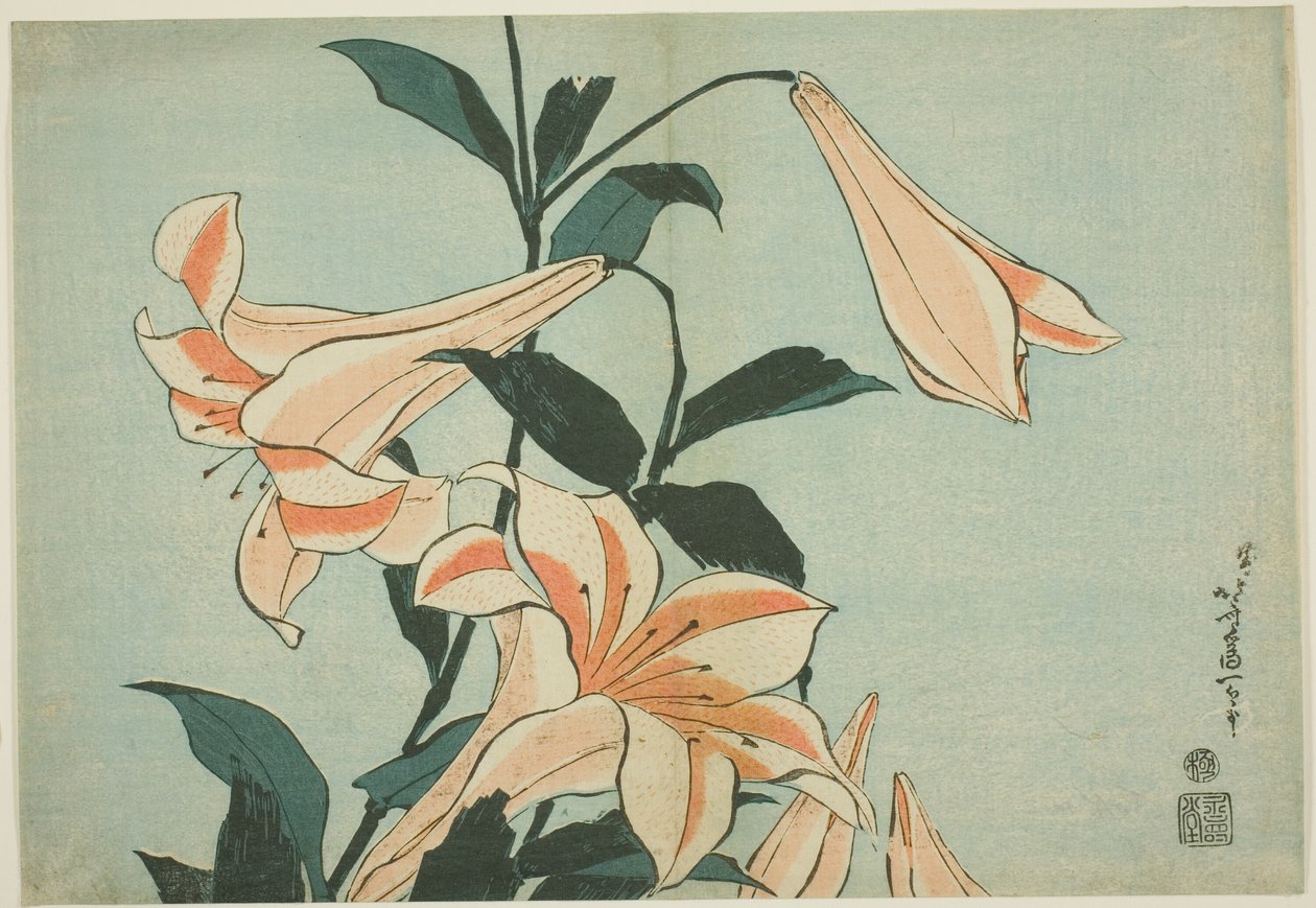 Liljer, fra en serie med store blomster uten tittel av Katsushika Hokusai