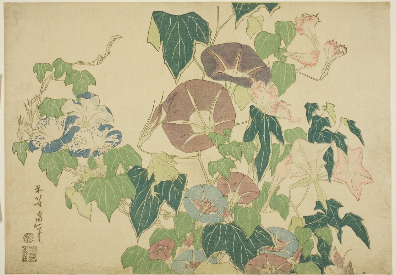 Morning Glories og Tre-frosk, fra en serie med store blomster uten tittel av Katsushika Hokusai