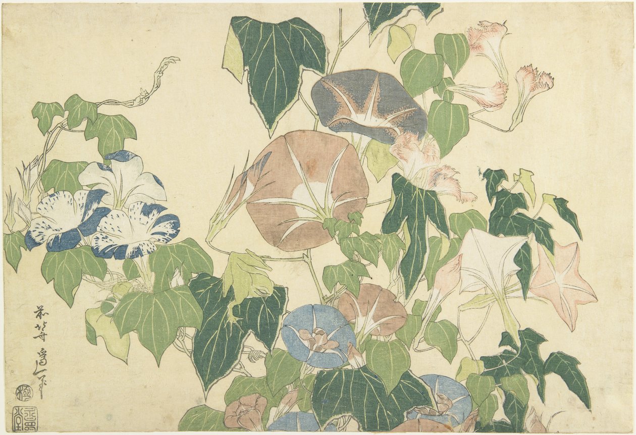 Morning Glories and Tree Frog, fra serien uten tittel kjent som Store blomster, ca. 1833-34 (treblokktrykk i farger) av Katsushika Hokusai