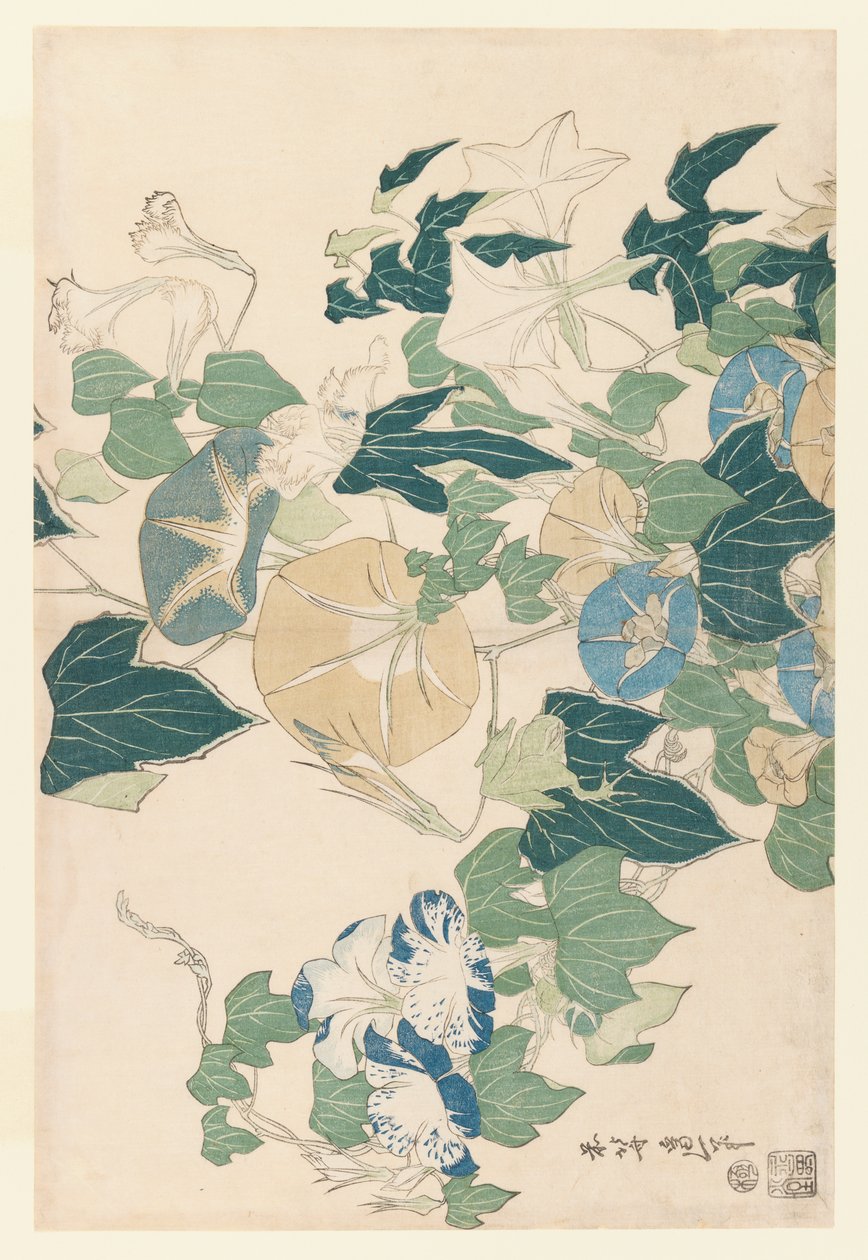Morning Glories in Flowers and Buds, ca. 1830 (farget treblokktrykk) av Katsushika Hokusai