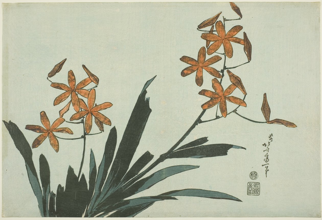 Oransje orkideer, fra en blomsterserie uten navn av Katsushika Hokusai