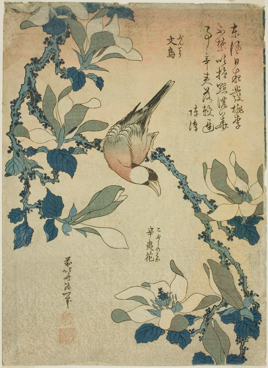 Paddy Bird and Magnolia Flowers (Buncho, kobushi no hana), fra en serie med blomster og fugler uten tittel av Katsushika Hokusai