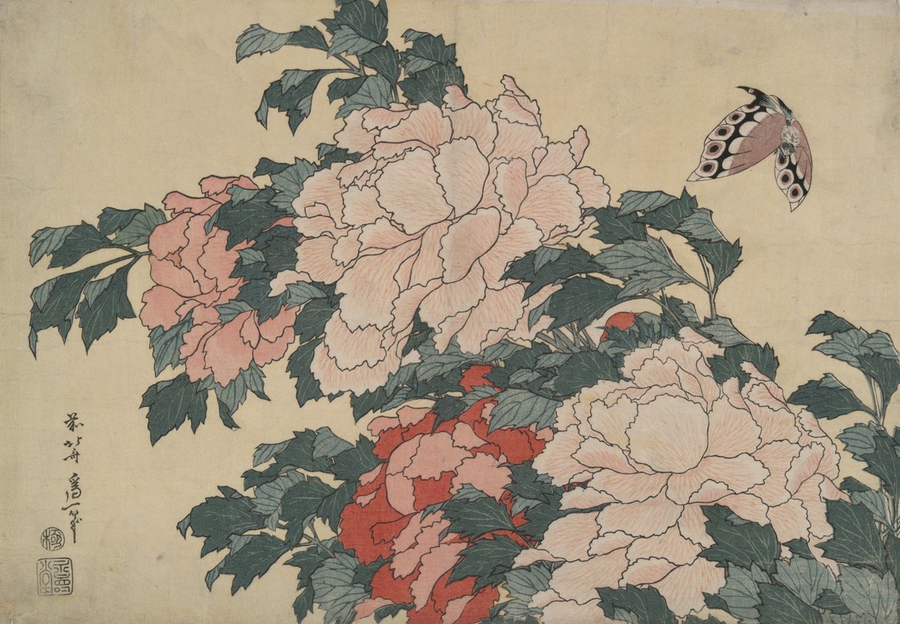 Pioner og sommerfugl, fra en serie uten tittel kalt «Store blomster» av Katsushika Hokusai