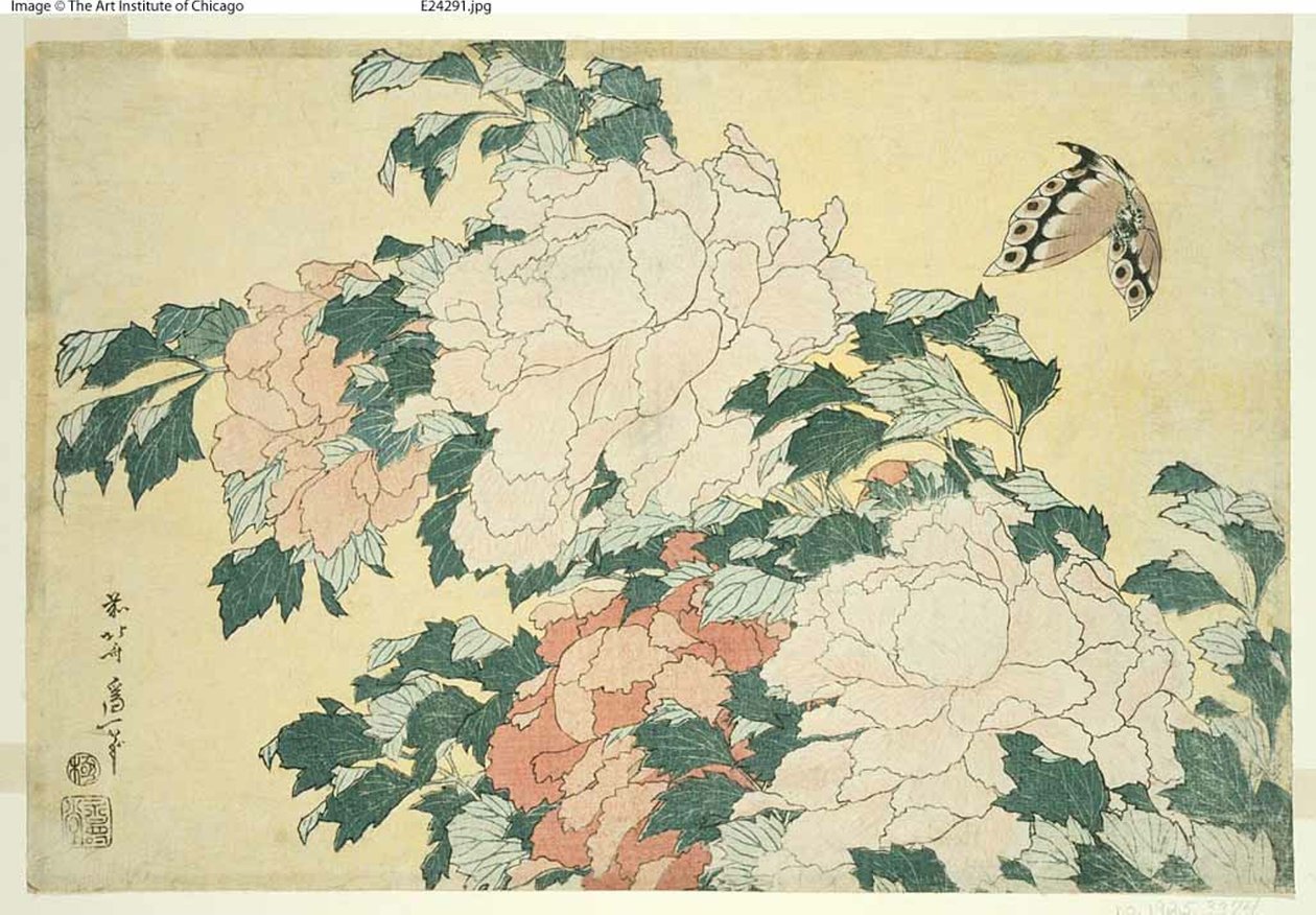 Peoner og sommerfugl, fra en serie med store blomster uten tittel av Katsushika Hokusai