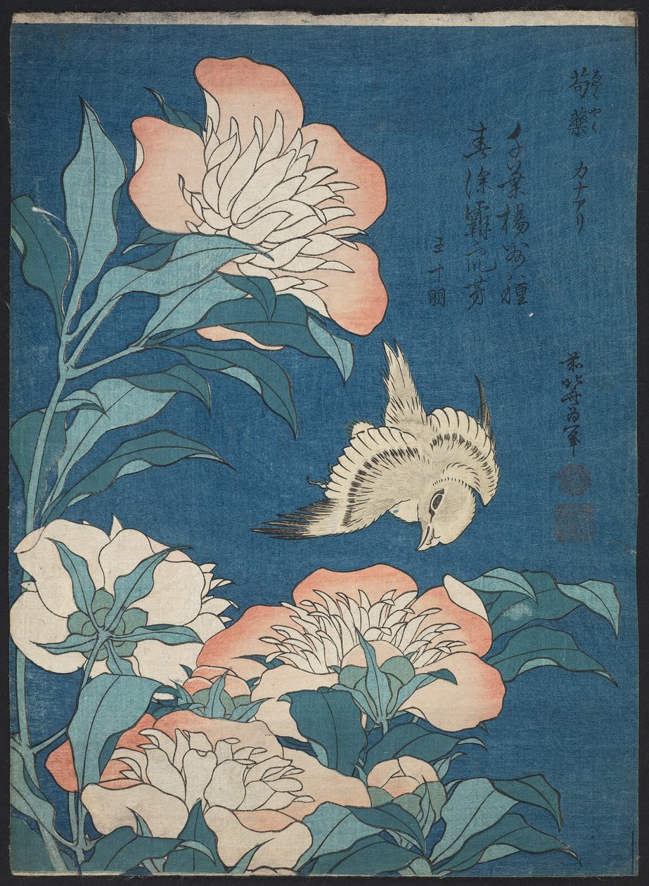 Peonies and Canary (Shakuyaku, kanaari), fra en serie uten tittel kjent som Small Flowers av Katsushika Hokusai
