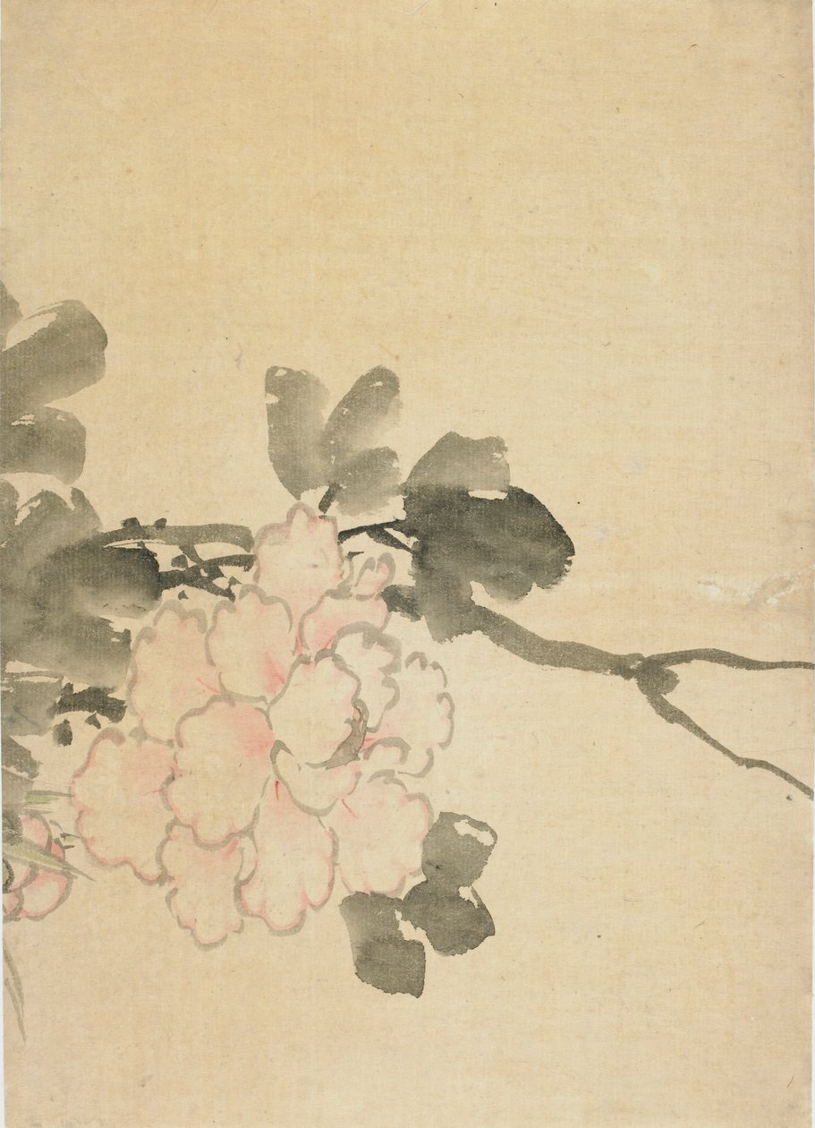 Peon, sent på 1700-tallet - begynnelsen av 1800-tallet. av Katsushika Hokusai