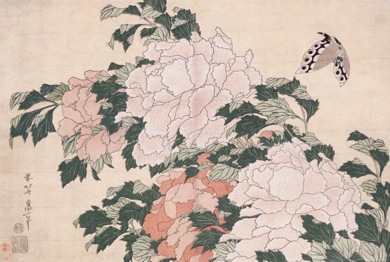 Rosa og røde peoner blåst til venstre i en bris og en sommerfugl av Katsushika Hokusai