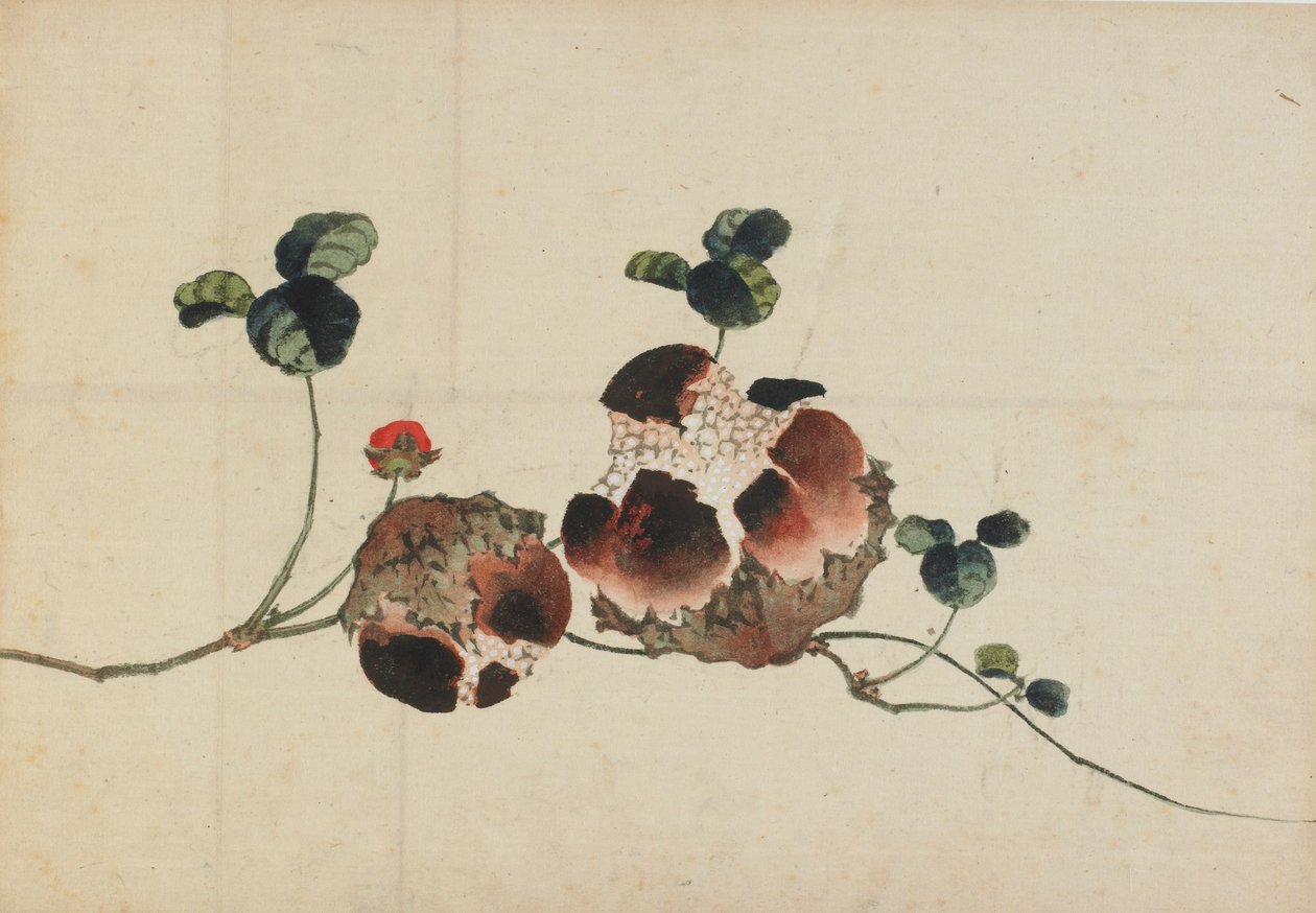 Granatepler, sent på 1700-tallet - begynnelsen av 1800-tallet. av Katsushika Hokusai