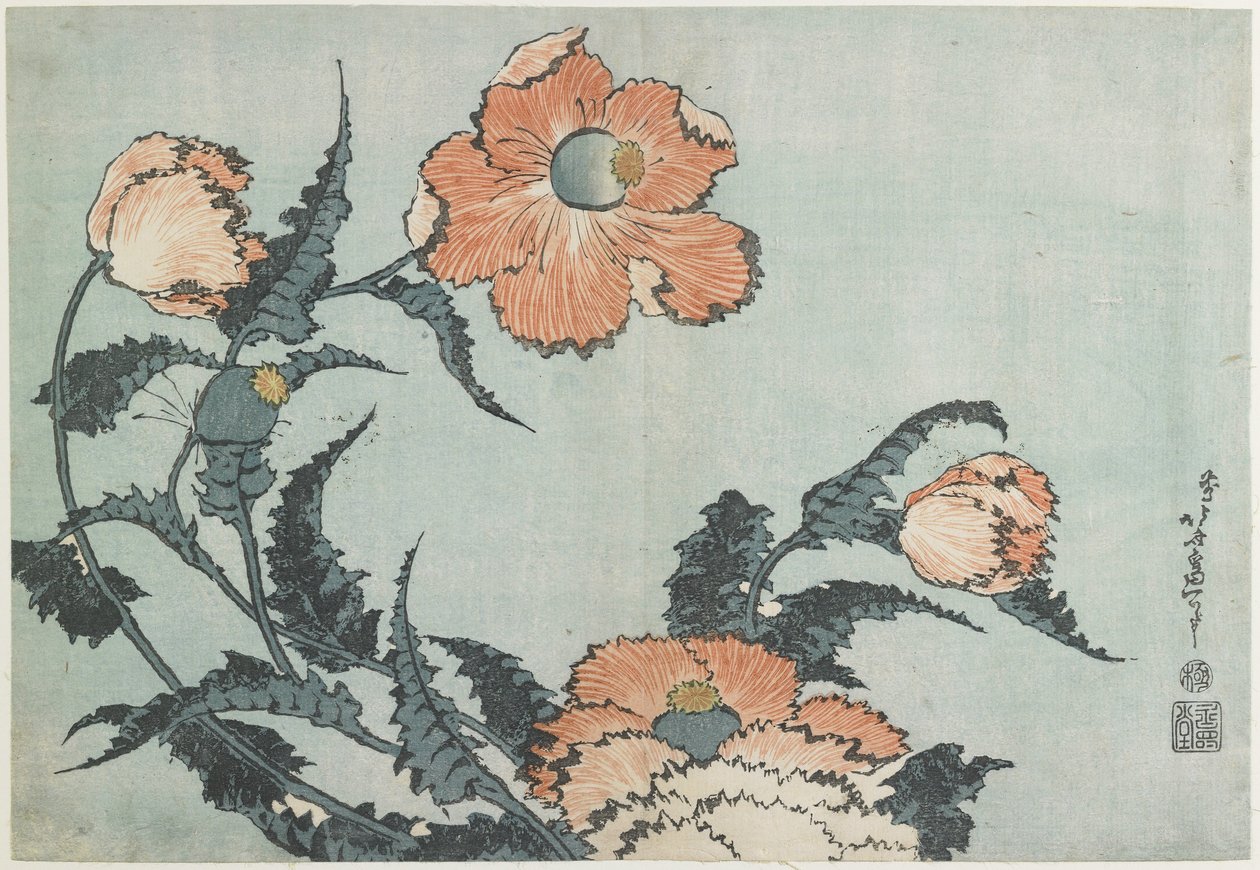 Valmuer, ca. 1832 av Katsushika Hokusai