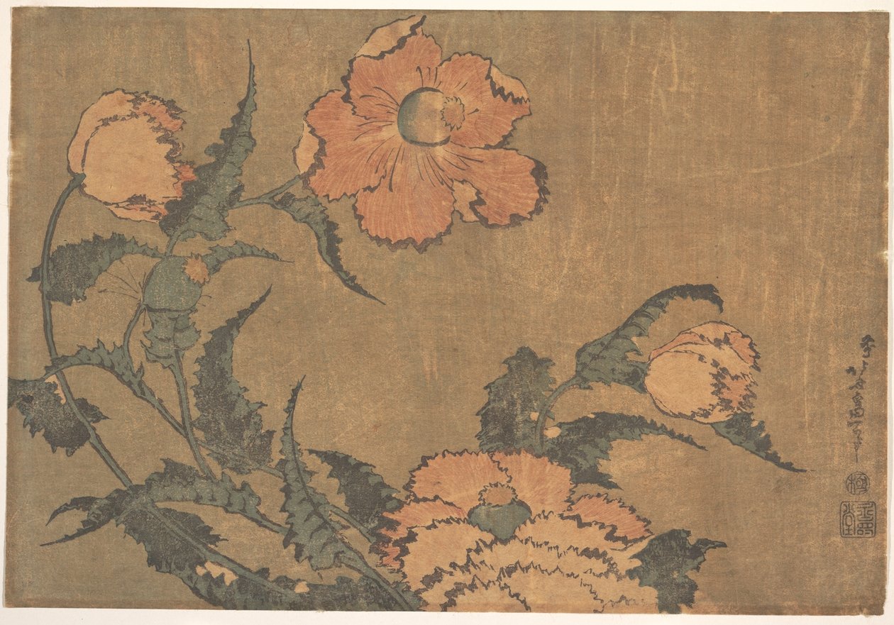 Valmuer i vinden av Katsushika Hokusai