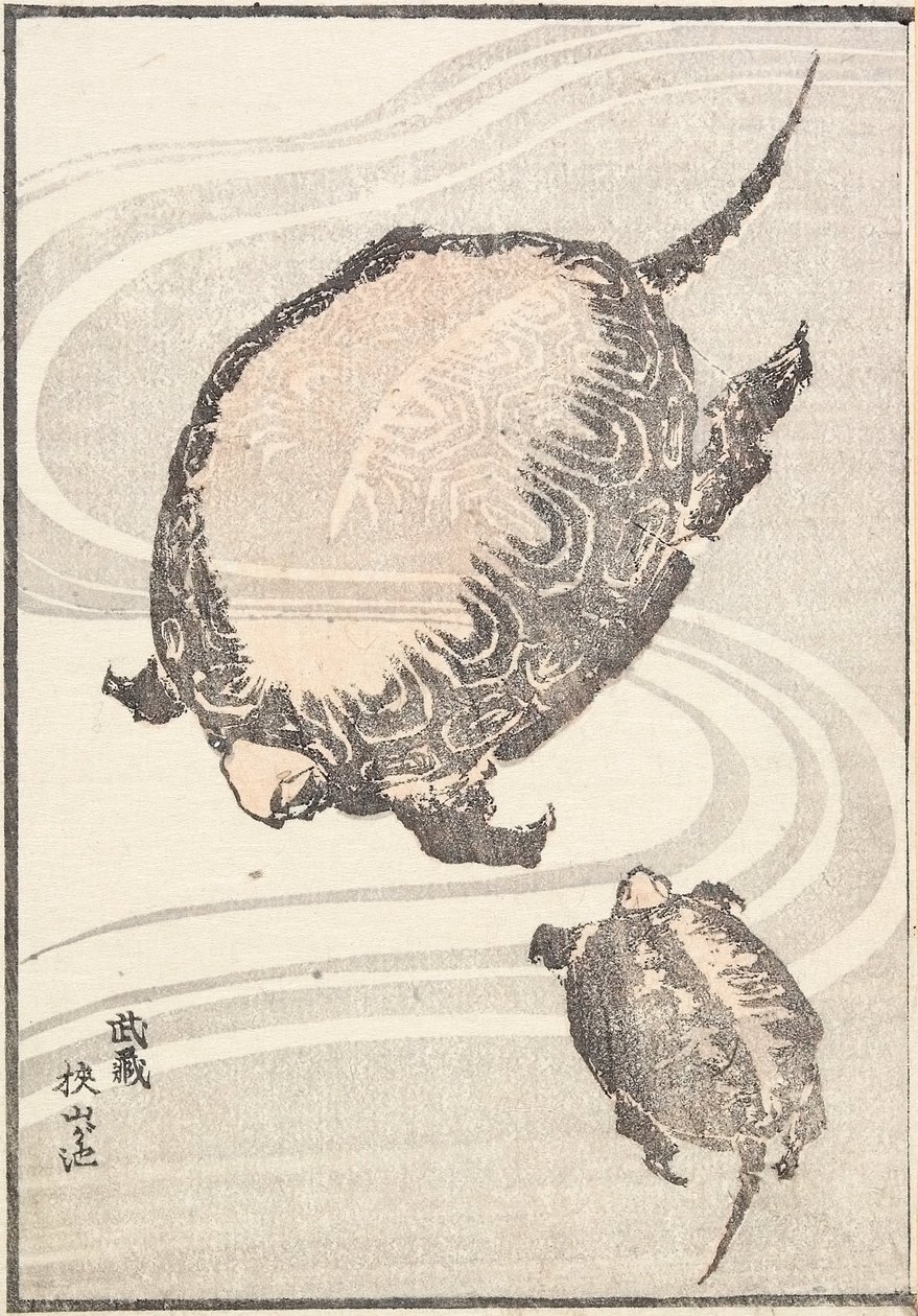 Sayama-ga-ike-dammen i Musashi-provinsen av Katsushika Hokusai
