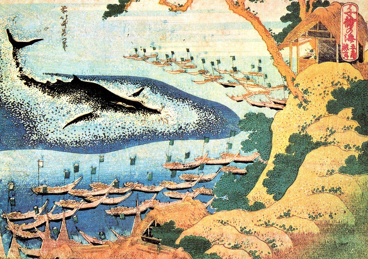 Serie med tusen utsikt over havet: hvalen utenfor Goto-øyene, Japan - Trykk av Katsushika Hokusai (1760-1849) (ukiyo-e-skolen) 1830-1833 State A Pushkin Museum of Fine Arts, Moskva av Katsushika Hokusai
