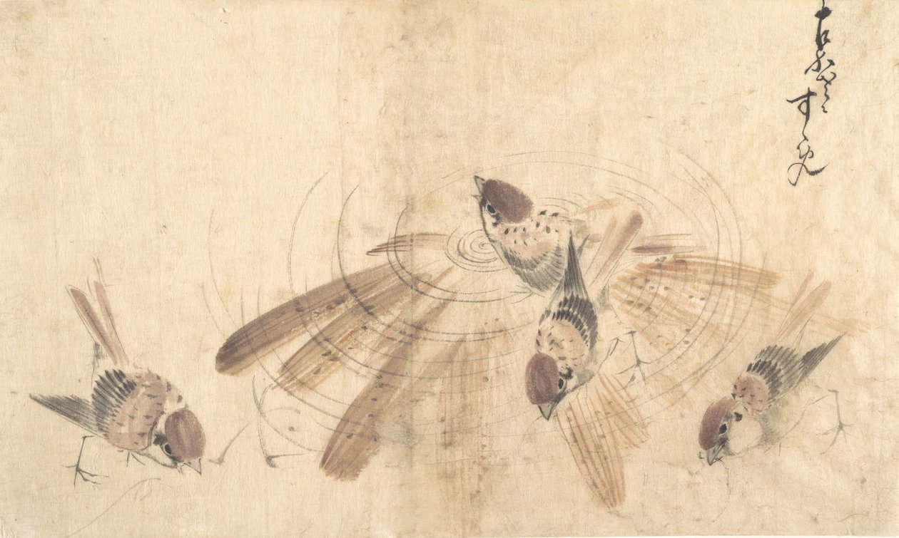 Sparrows, ca. 1825.    1166348   no       norwegian Successfully Translated  Original: Pomona Britannica: No. 64 - Scarlet Flesh Romana Melon Translat: Pomona Britannica: No. 64 - Scarlet Flesh Romana Melon 1305013 no norwegian Successfully Translated Orig av Katsushika Hokusai
