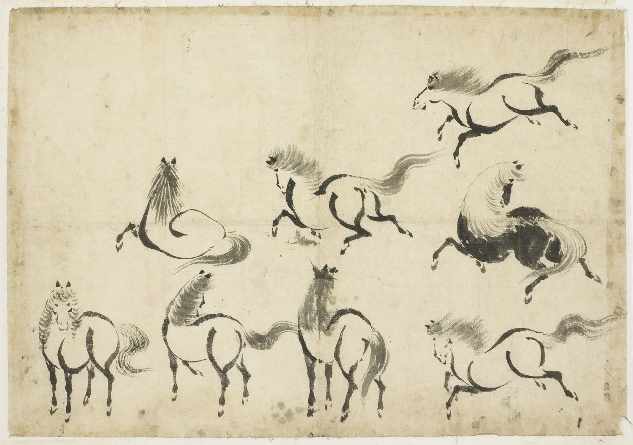 Studies of Horses, ca. 1815-1849 (blekk på papir) av Katsushika Hokusai