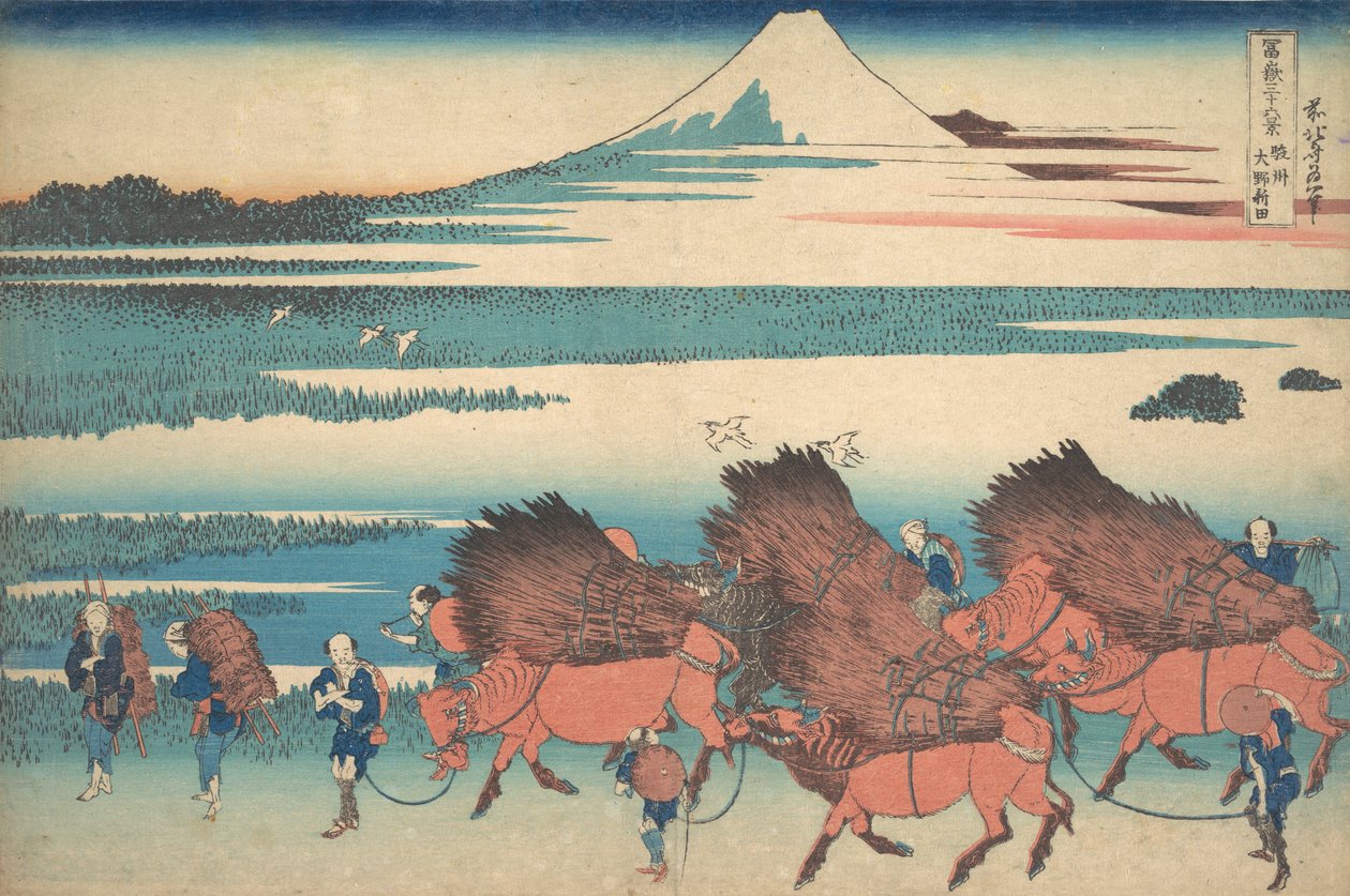 The New Fields at Ono i Suruga-provinsen Sunshu Ono shinden, fra serien Thir..., ca. 1830-32. av Katsushika Hokusai