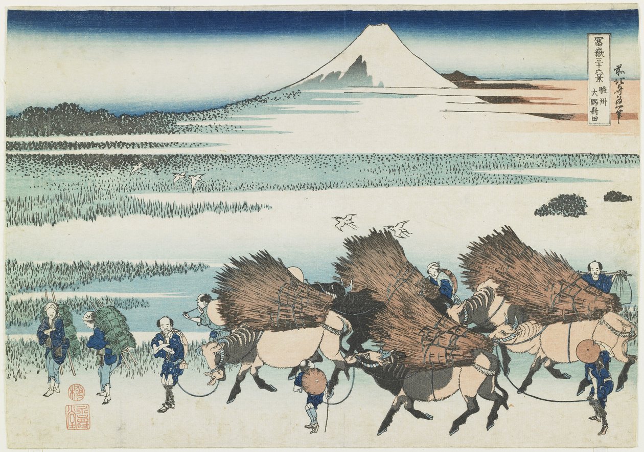 The Paddies of O_no i Suruga-provinsen, 1831-1834 av Katsushika Hokusai