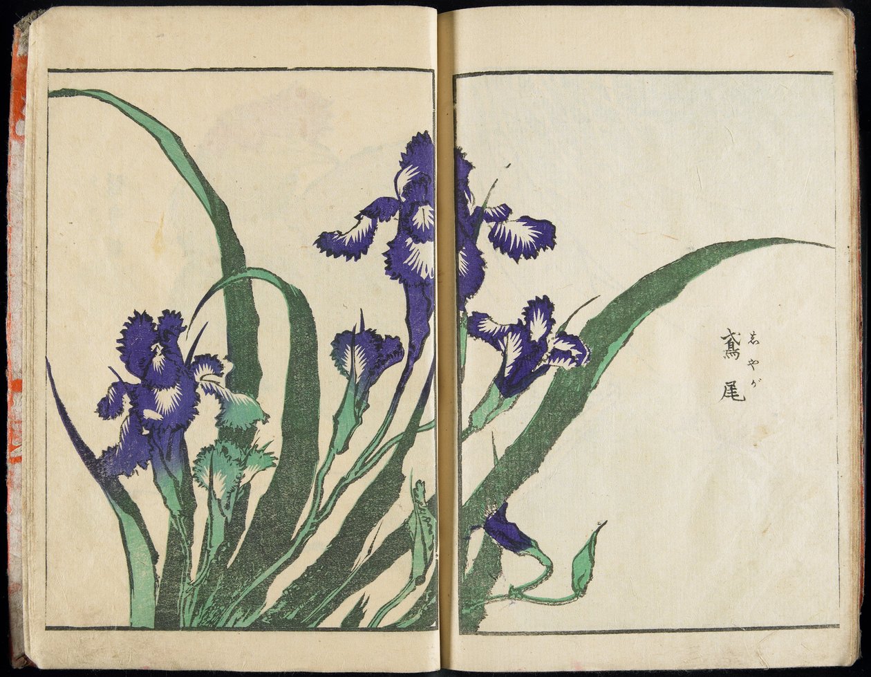 Å formidle ånden og avsløre tingenes form: Hokusais «Bildenes hage», bind 1, komplett av Katsushika Hokusai
