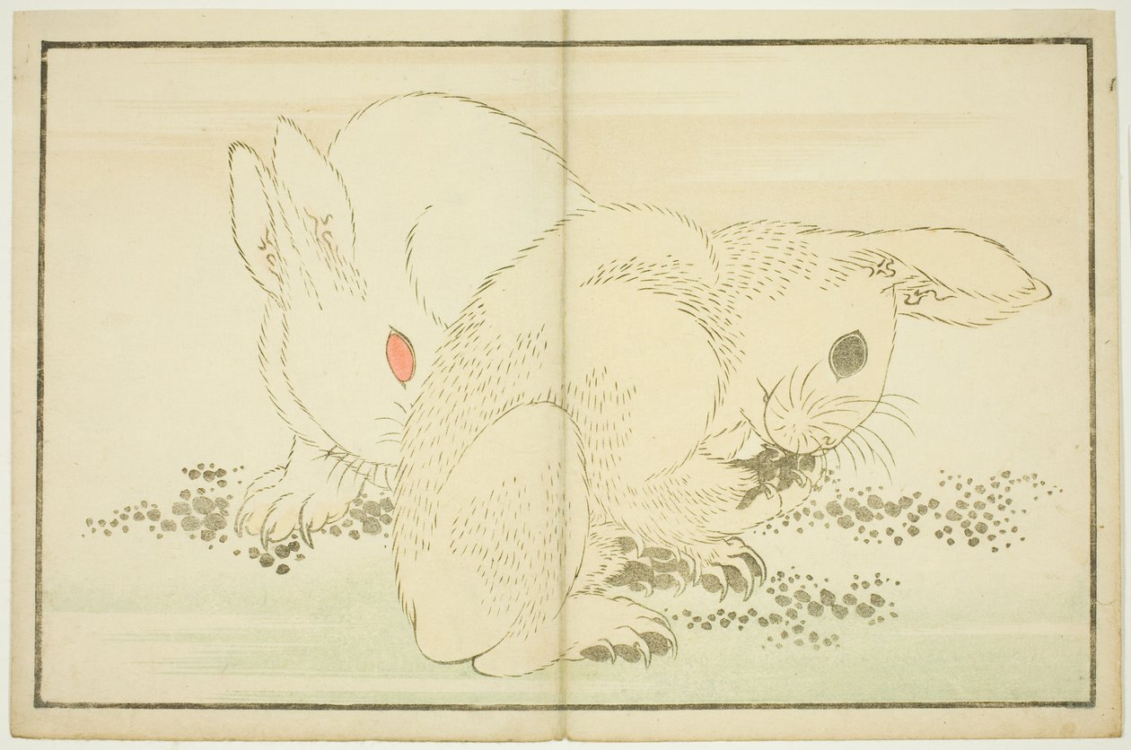 To kaniner, fra The Picture Book of Realistic Paintings of Hokusai (Hokusai shashin gafu) av Katsushika Hokusai