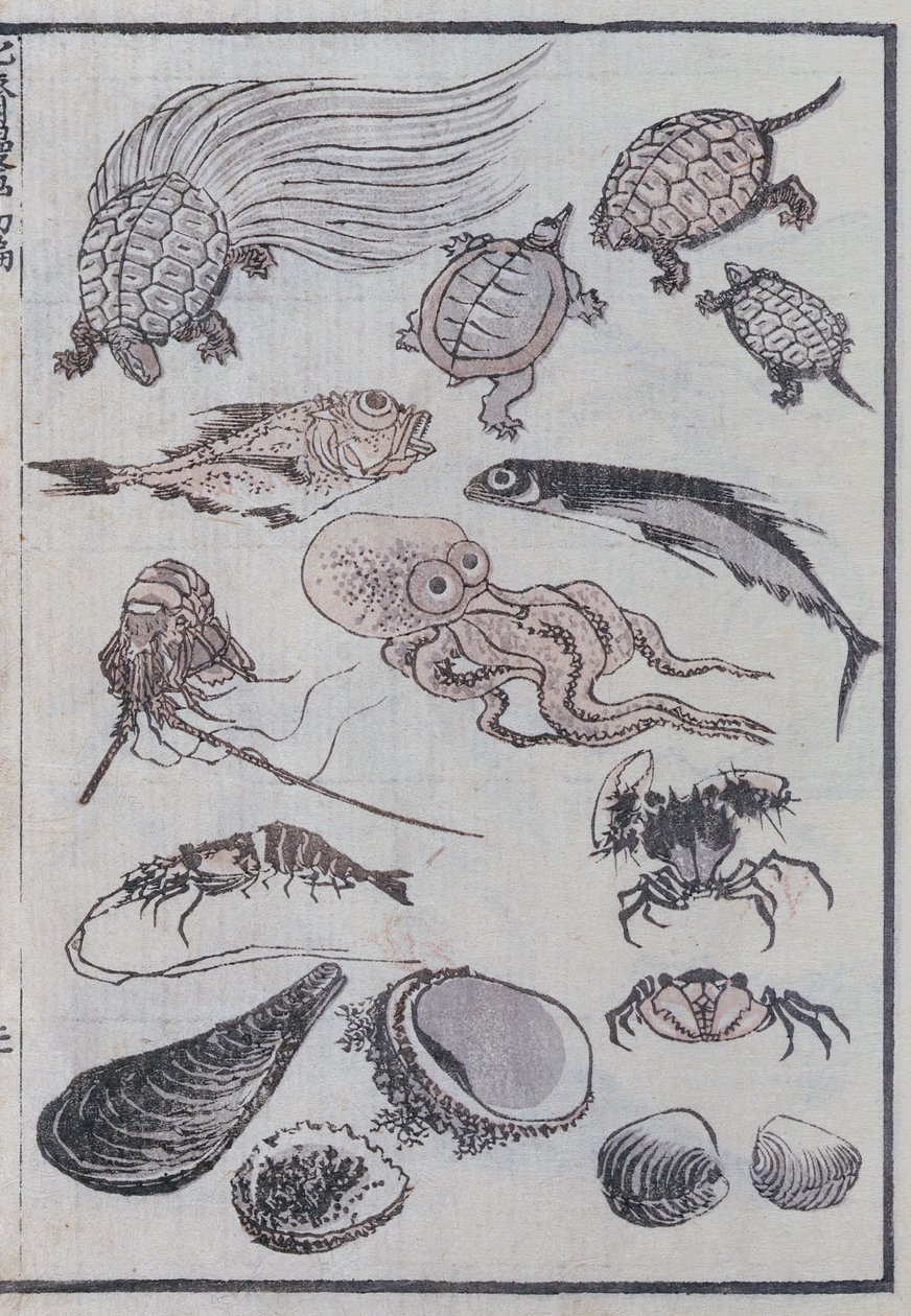 Undersjøiske skapninger, fra en Manga (farget treblokktrykk) av Katsushika Hokusai