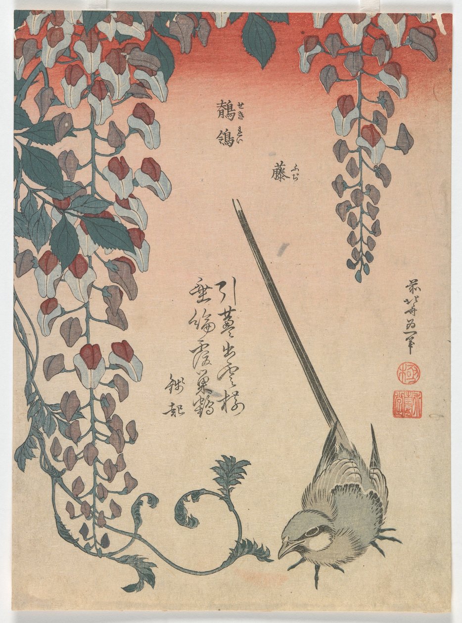Vipstjert og Wisteria, Edo-perioden, 1834 (farget treblokktrykk) av Katsushika Hokusai