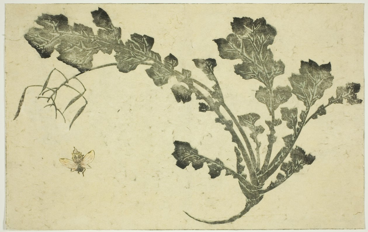Vepse- og nepestilk, fra "The Picture Book of Realistic Paintings of Hokusai (Hokusai shashin gafu)" av Katsushika Hokusai