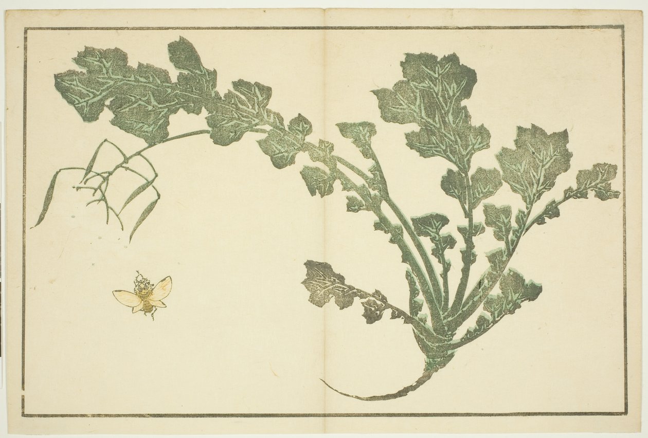 Vepse- og nepestilk, fra "The Picture Book of Realistic Paintings of Hokusai (Hokusai shashin gafu)" av Katsushika Hokusai
