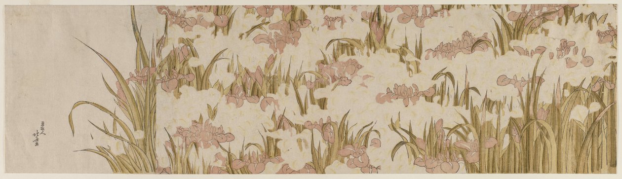 Hvit og lilla iris av Katsushika Hokusai