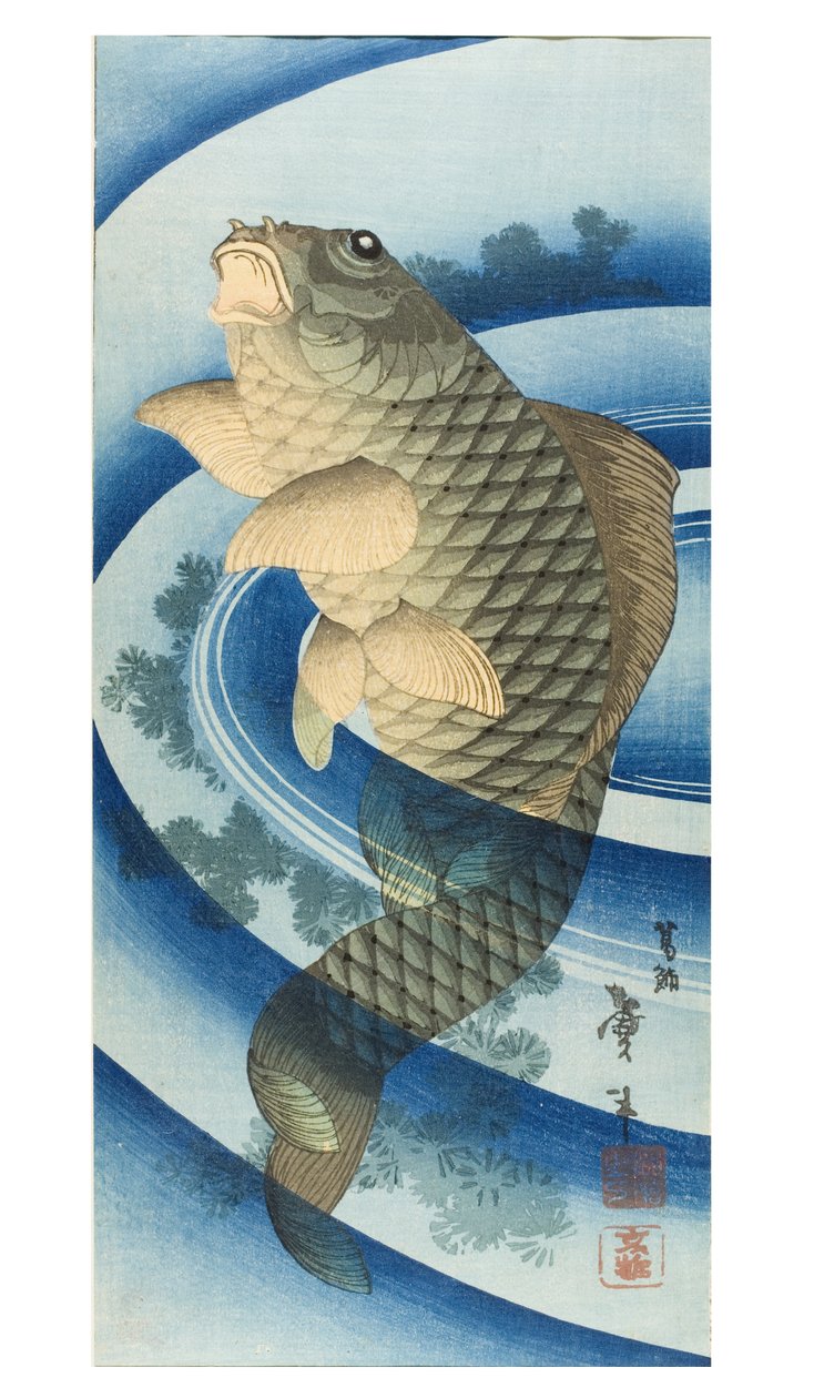 Karpe av Katsushika II (fl.1820-50) Taito