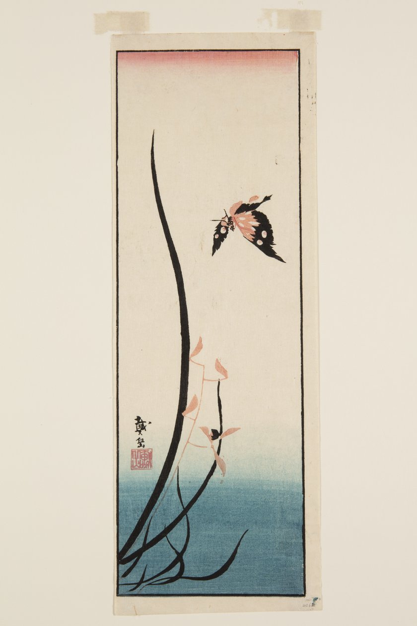 Sommerfugl og gress (farget treblokktrykk) av Katsushika II (fl.1820 50) Taito