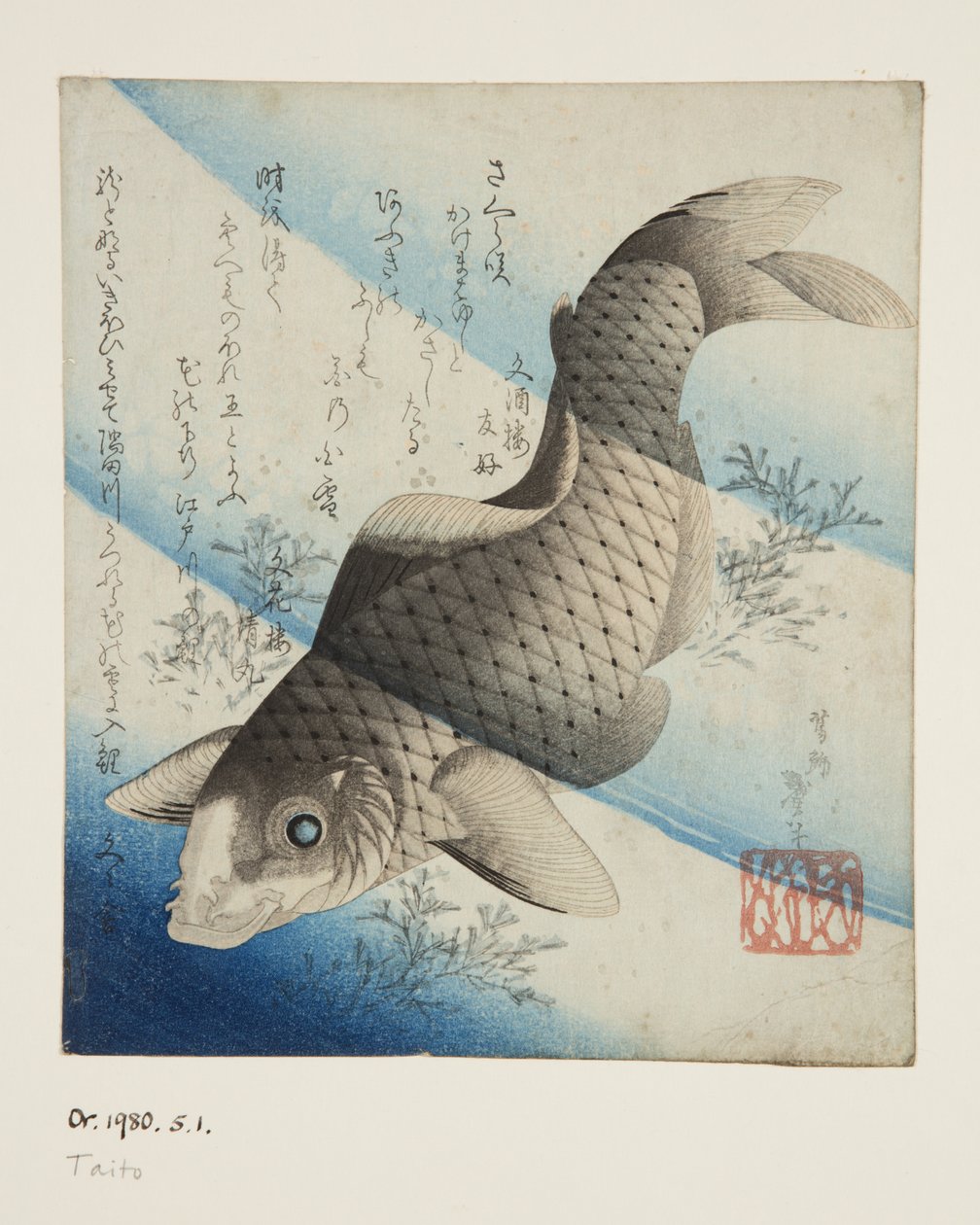 Karpe i vann (farget treblokktrykk) av Katsushika II (fl.1820 50) Taito