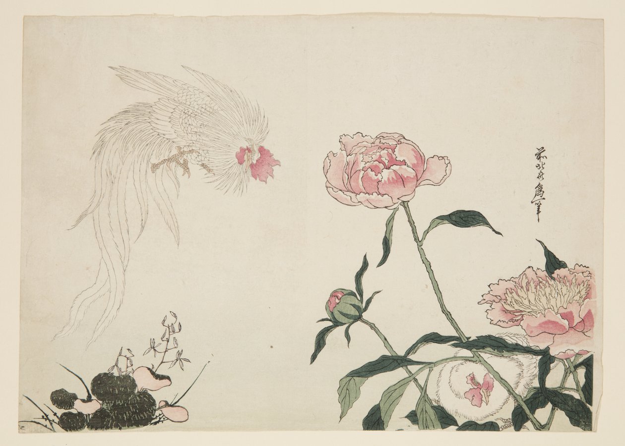 Langhalehaner blant blomster (farget treblokktrykk) av Katsushika II (fl.1820 50) Taito