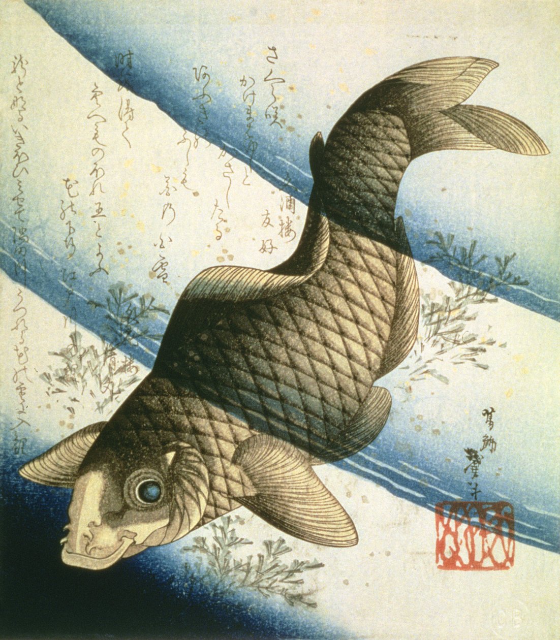 En karpe som svømmer blant vanngress, ca. 1832 (blekk) av Katsushika II Taito