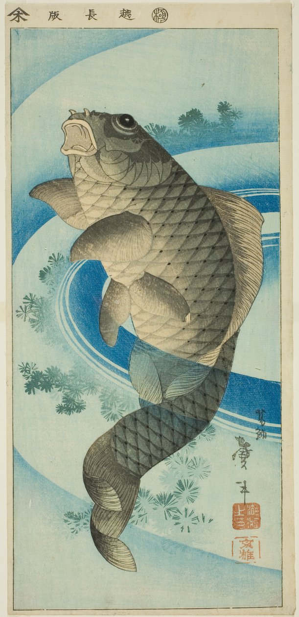 Karpe av Katsushika Taito II
