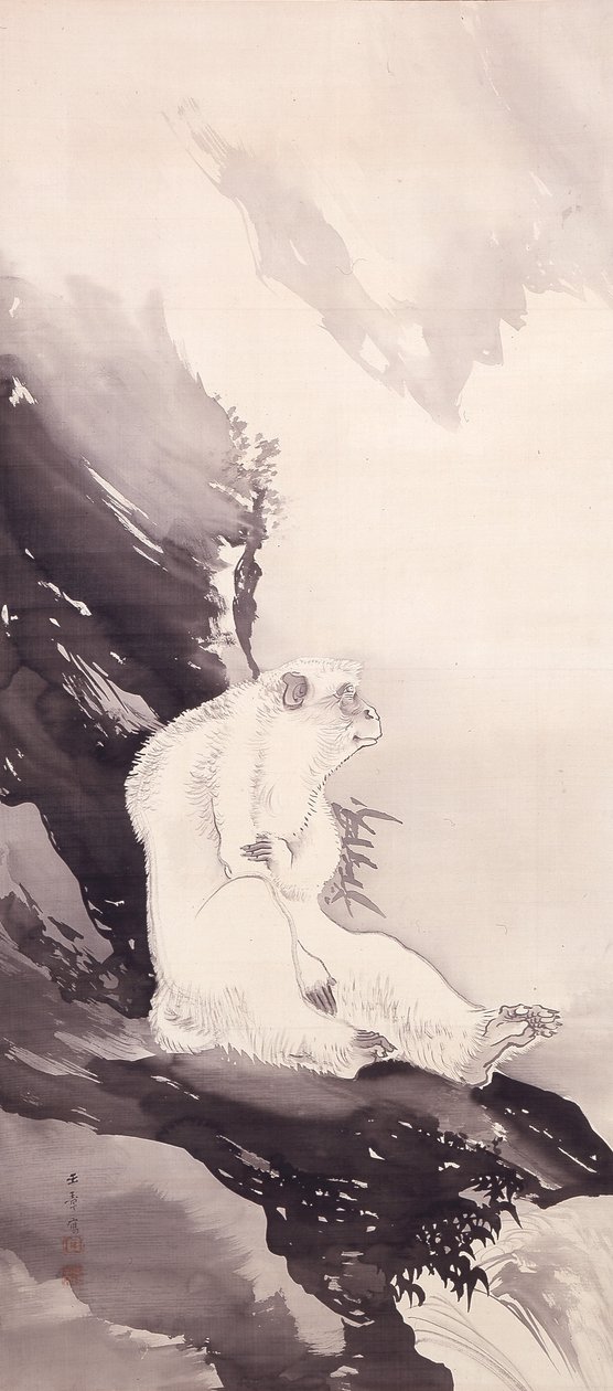 White Monkey (blekk på silke) av Kawabata Gyokushō