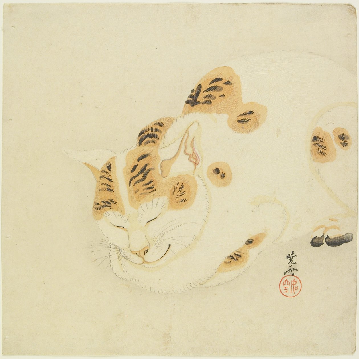 Sovende katt av Kawanabe Kyosai