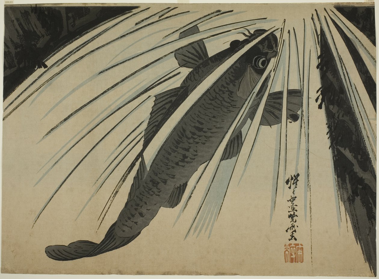  av Kawanabe Kyosai