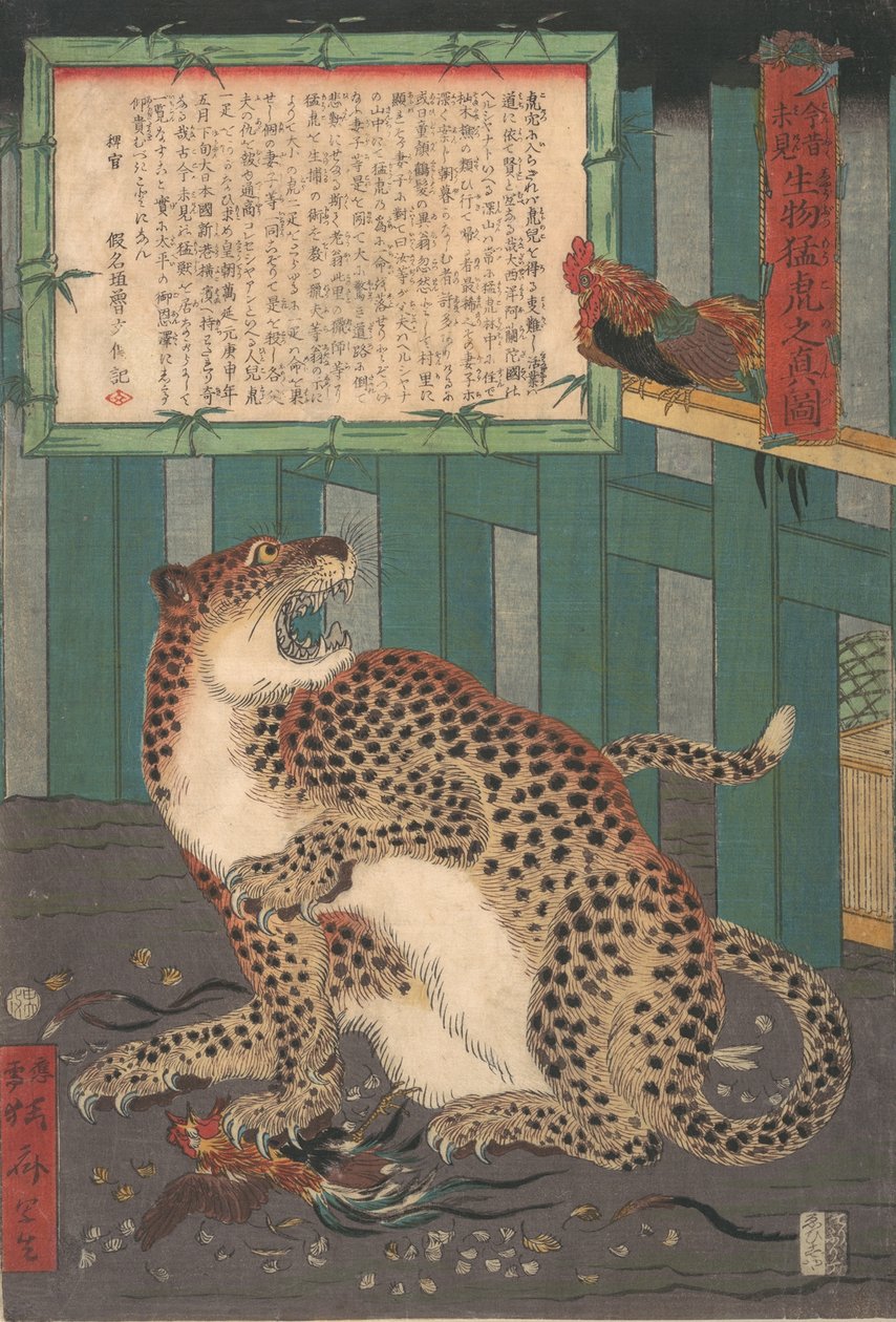 Aldri sett før: True Picture of a Live Wild Tiger..., sjette måned 1860. av Kawanabe Kyosai