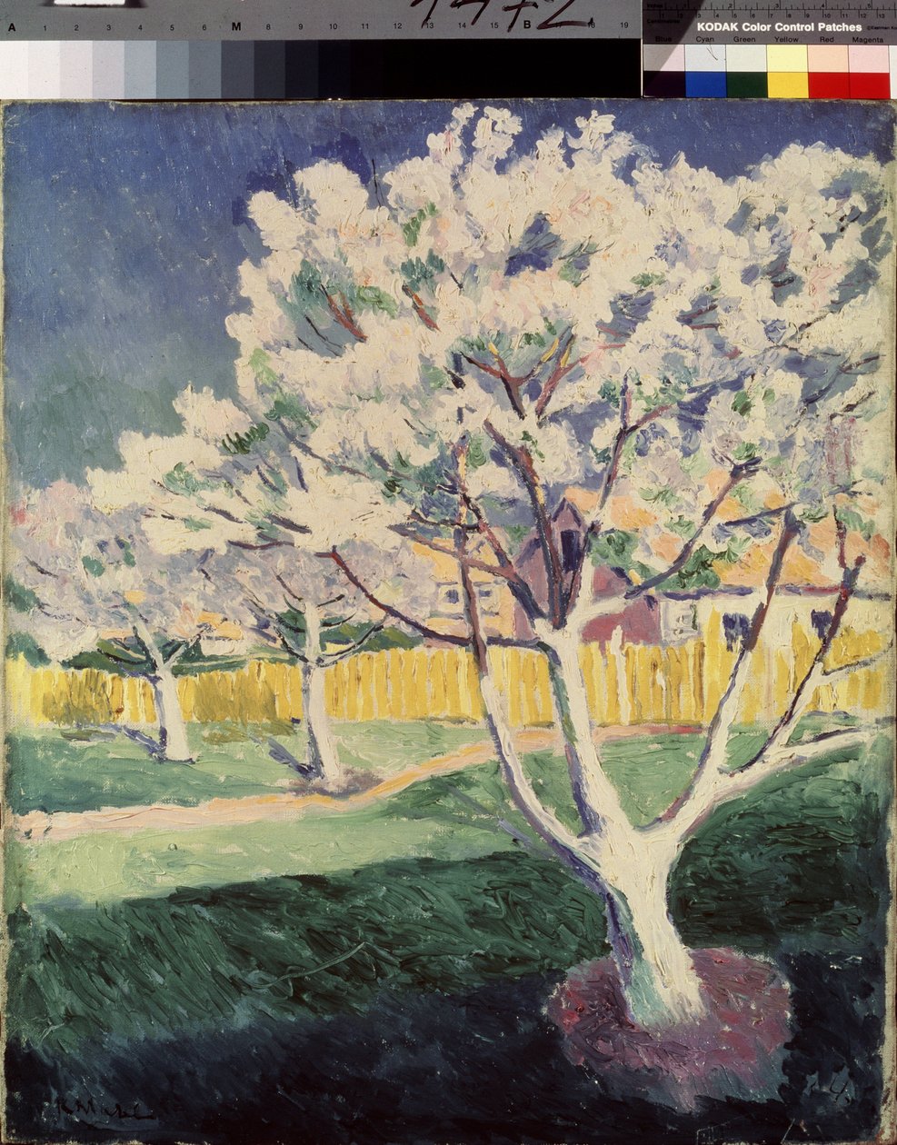Sommerlandskap. Maleri av Kasimir Severinovich Malevich (Malevich, Malevic) (1878-1935), olje på lerret av Kazimir Severinovich Malevich