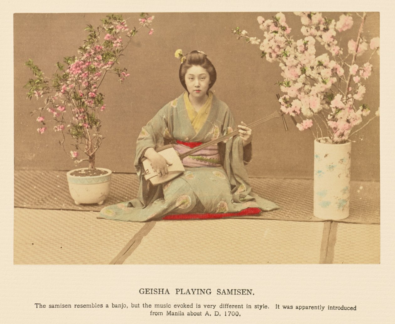  av Kazumasa Ogawa