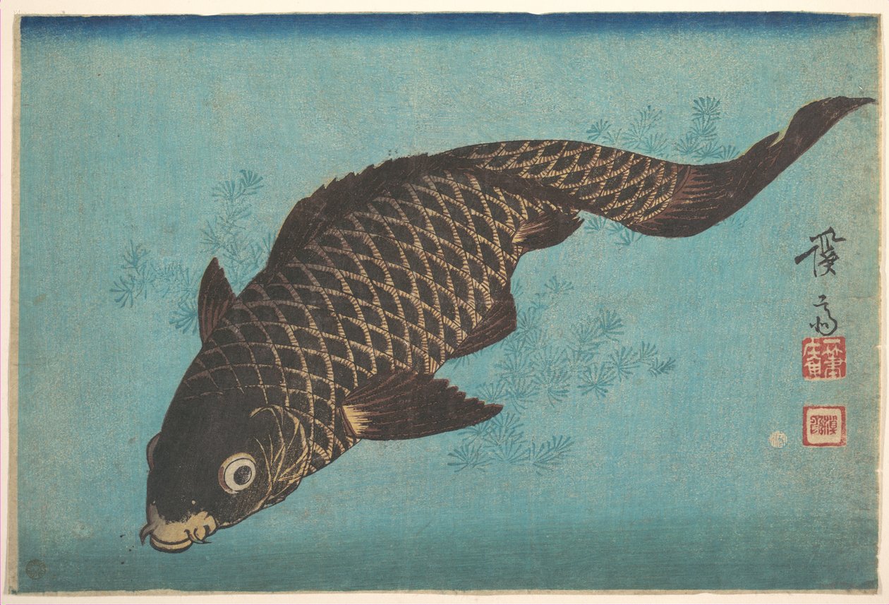 Koi av Keisai Eisen