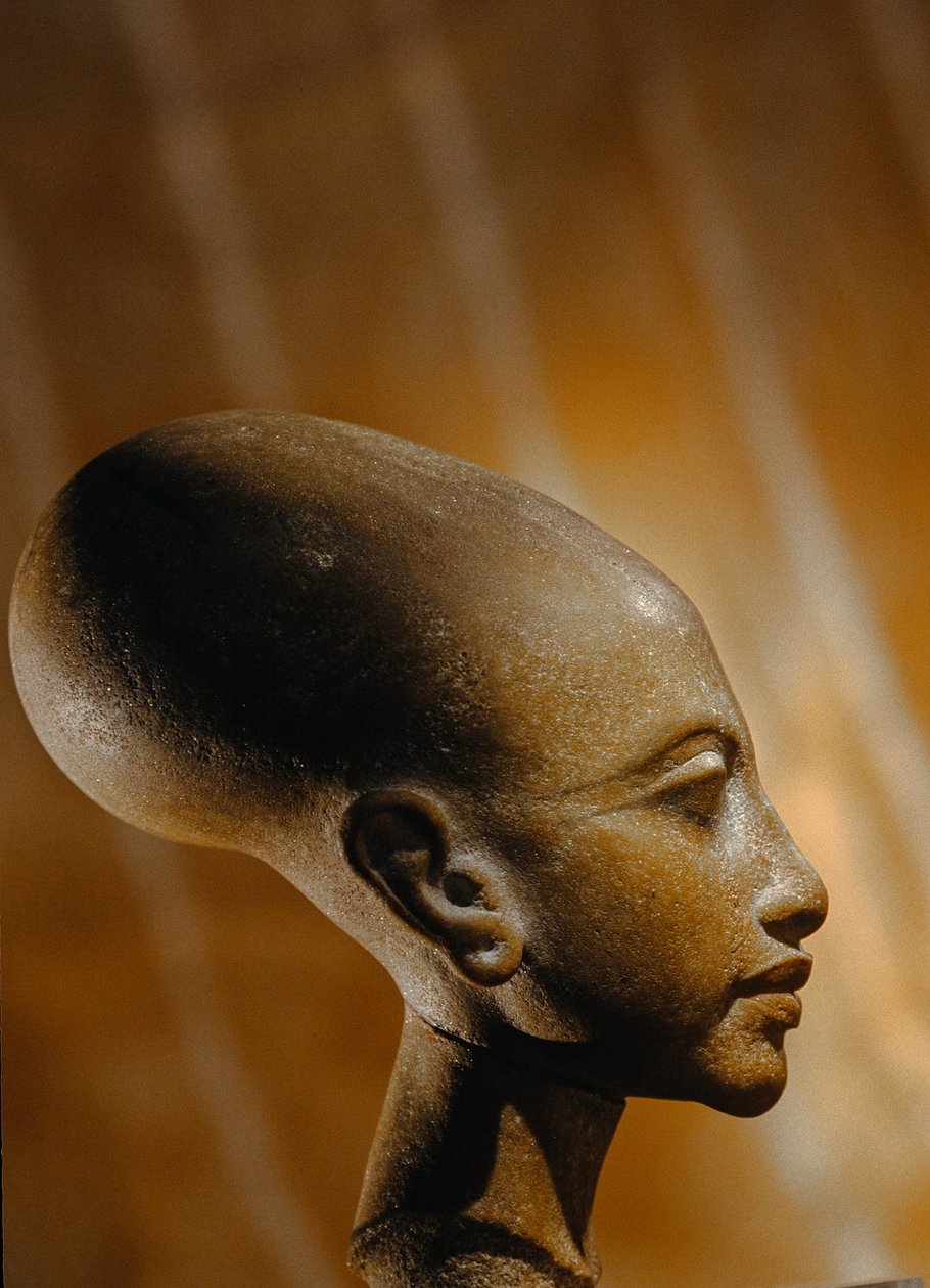 Kompositt steinhode av en prinsesse fra Amarna, en omfattende egyptisk arkeologisk…, 2009 (foto) av Kenneth Garrett
