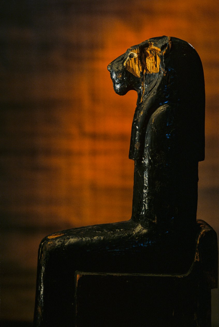  av Kenneth Garrett