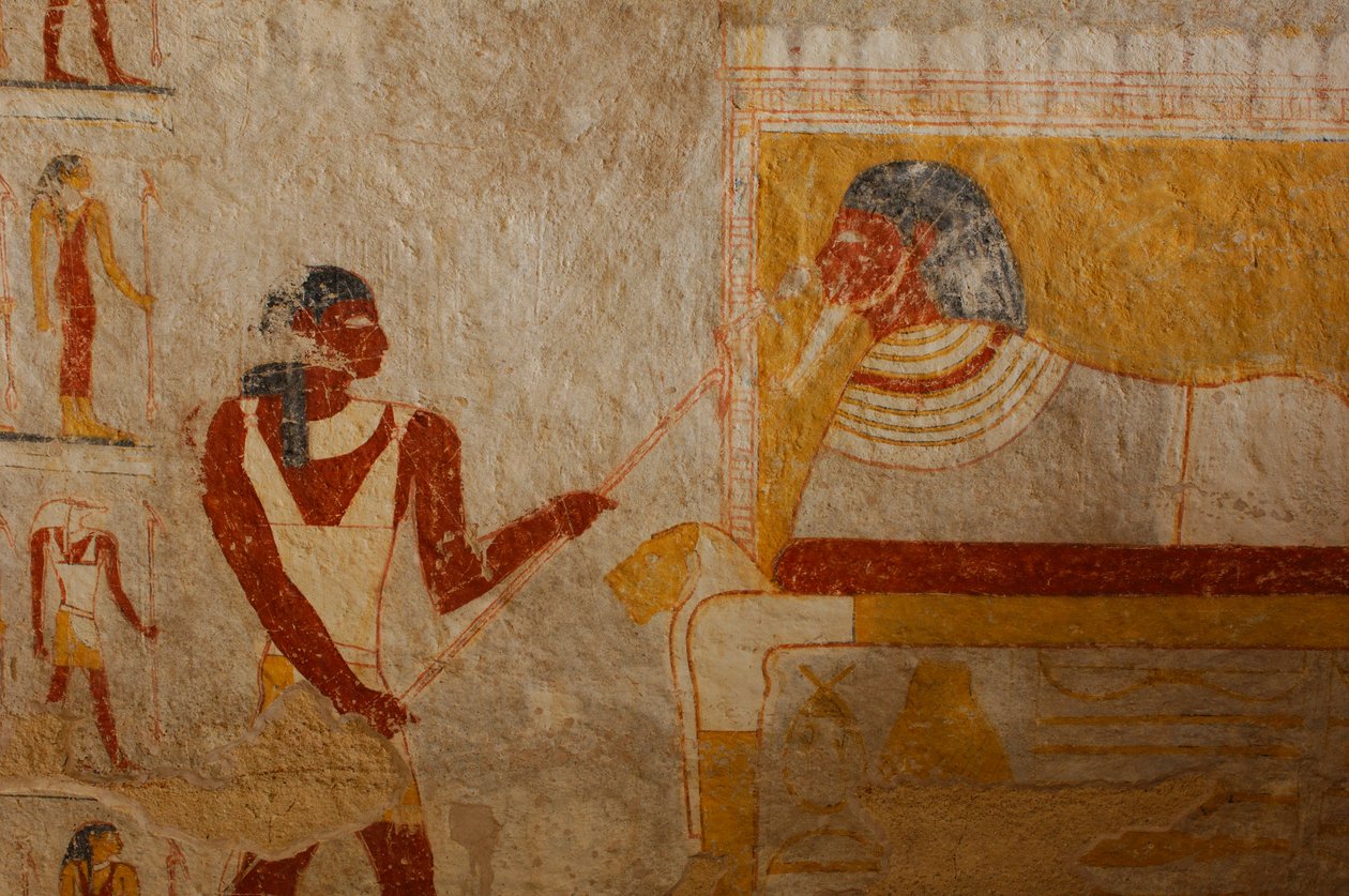 Detaljer om gravkammeret og maleriet, dronning Qalhata, gravmalerier, svarte faraoer, Nu…, 2007 (foto) av Kenneth Garrett